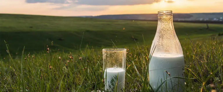 Milchglas auf Wiese