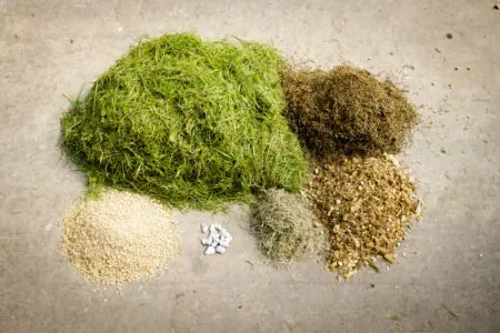 Verschiedene Futterarten für Tiere, darunter frisches Gras, Heu, Getreide und andere natürliche Zutaten.
