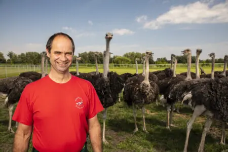 Ein Mann in rotem Shirt steht lächelnd vor einer Gruppe von Straußen auf einem Bauernhof im Freien.