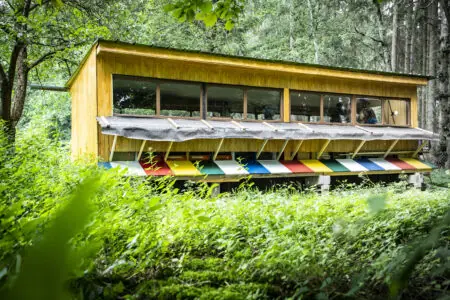 Ein modernes Holzhaus mit bunten Fensterläden, umgeben von üppigem Grün und Bäumen im Wald.