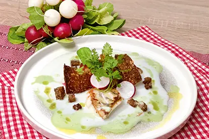 Foto: Milchsuppe Zander