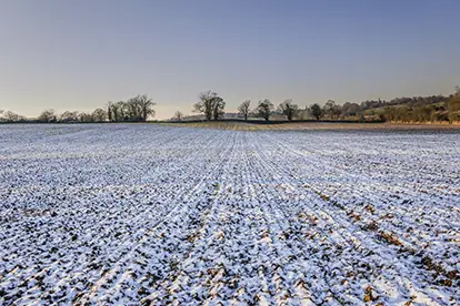 Schneebedecktes Feld mit Bäumen im Hintergrund, das die winterliche Landschaft und Jahreszeitenwechsel darstellt.