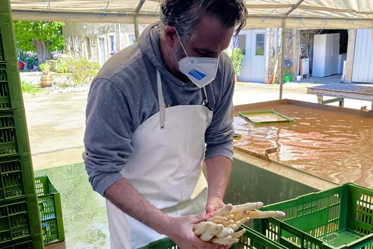 Ein Mann mit Mundschutz sortiert frischen Spargel in einem Lagerraum.