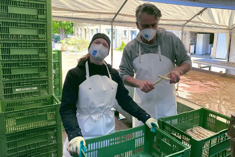 Zwei Personen in Schürzen und Masken arbeiten im Freien mit grünen Kisten und Stäben in einer Zeltumgebung.