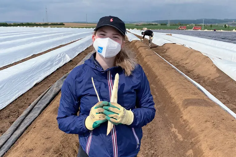 Eine Frau mit Maske hält frischen Spargel in einem Feld, während im Hintergrund weitere Arbeiter beschäftigt sind.