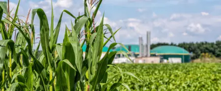 Grüne Pflanzen im Vordergrund mit einer Biogasanlage im Hintergrund, die erneuerbare Energien symbolisiert.