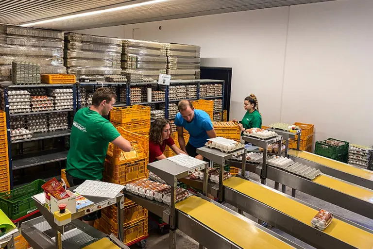 Mitarbeiter des Geflügelhofs Wellhöfer sortieren und verpacken Eier in einem Lagerraum mit Regalen und Kisten.