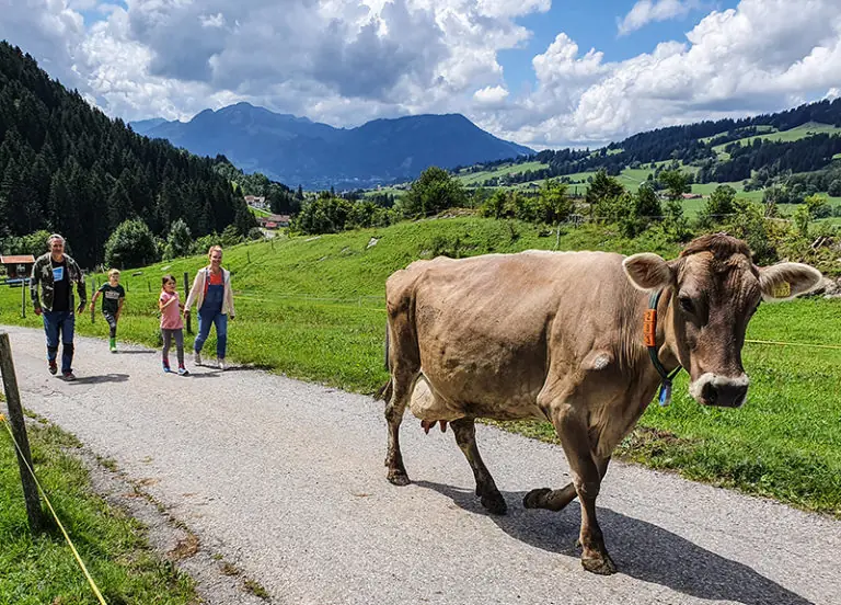 Familie spaziert mit Kindern und einer Kuh auf dem Weg am Bergbauernhof Zeller, umgeben von grüner Landschaft.