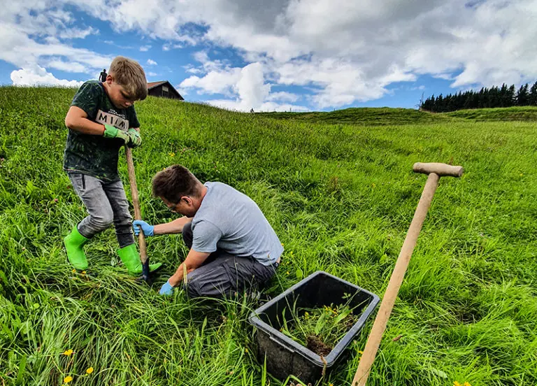 Ein Erwachsener und ein Kind arbeiten gemeinsam auf dem Bergbauernhof Zeller und pflanzen in der Wiese.