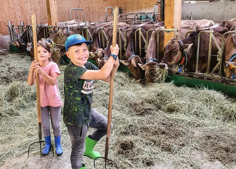 Zwei Kinder mit Heugabeln stehen in einem Stall bei Bergbauernhof Zeller, während Kühe im Hintergrund fressen.