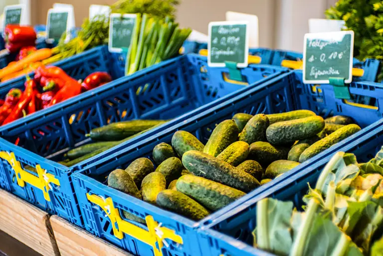 Frisches Gemüse wie Gurken und Paprika in blauen Kisten auf dem Markt am Sagstetter Hof.