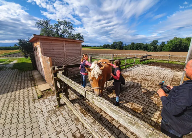 Zwei Kinder streicheln ein Pferd am Steinberger Hof, während ein Erwachsener mit einer Kamera zuschaut.