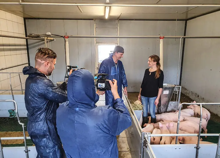 Besuch im Schweinestall am Steinberger Hof mit einem Interview zwischen Landwirten und einem Filmteam.