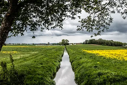 Ein schmaler Wasserlauf zwischen blühenden Feldern und Bäumen, der den Gewässerschutzstreifen symbolisiert.