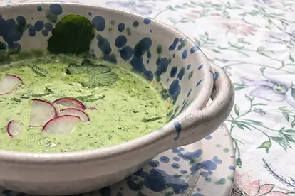 Grüne Radieschengrün-Suppe in einer dekorativen Schüssel mit frischen Radieschen und Kräutern serviert.