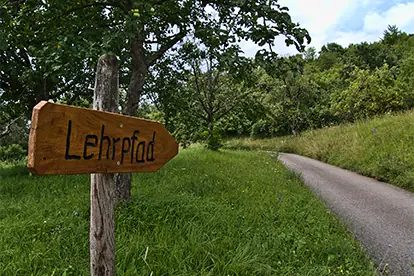 Wegweiser zum Lehrpfad, der entlang eines grünen Weges in einer naturnahen Umgebung führt.