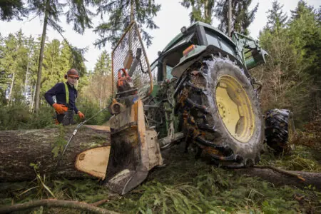 Ein Forstwirt arbeitet mit einem modernen Holzerntefahrzeug im Wald, während er einen gefällten Baum bearbeitet.