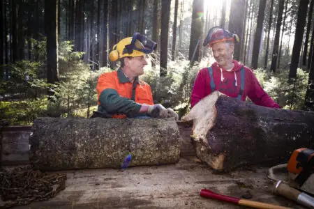 Zwei Forstwirte in Schutzkleidung lächeln bei der Arbeit im Wald und diskutieren über Holzstämme.