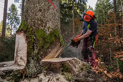 Ein Waldarbeiter fällt einen Baum mit einer Kettensäge, umgeben von einer bewaldeten Landschaft.
