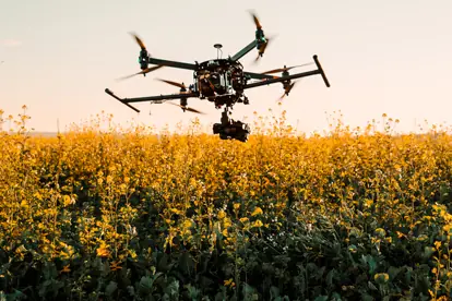 Eine Drohne schwebt über einem gelben Rapsfeld und zeigt den Einsatz von Technologie in der Landwirtschaft.