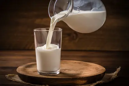 Kuhmilch