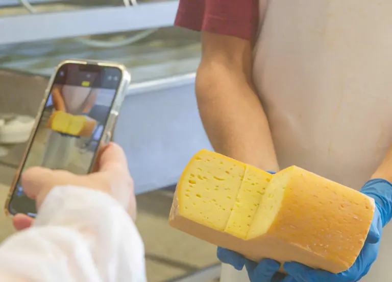 Eine Person hält ein Stück Käse und fotografiert es mit einem Smartphone in einer Käseproduktionsumgebung.