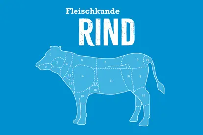 Fleischkunde-Rind zeigt die verschiedenen Teile eines Rindes auf einem blauen Hintergrund, ideal für Downloads.