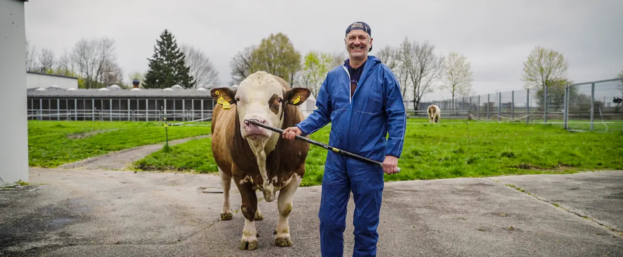 Ein Landwirt in blauer Arbeitskleidung hält eine Kuh an der Leine auf einem Bauernhof mit Grünflächen im Hintergrund.