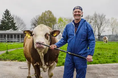 Ein Bauer in blauer Arbeitskleidung steht neben einer Kuh auf einer Weide und hält einen Stock in der Hand.