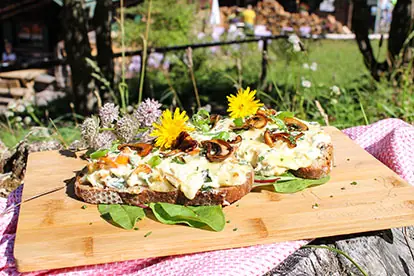 Zwei belegte Brote mit frischen Kräutern, bunten Blumen und Pfifferlingen auf einem Holzbrett in der Natur.