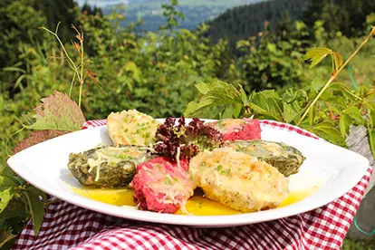 Nocken-Tris mit bunten Kartoffelknödeln und frischem Salat, serviert vor einer malerischen Landschaft.