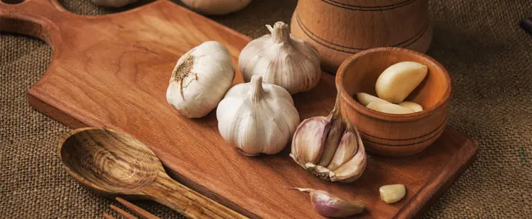 exoten_knoblauch_header
