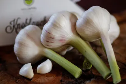 knoblauch_lagerung_content