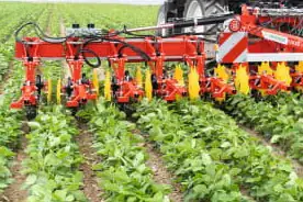 Moderne Agrartechnik zeigt eine rote Maschine, die effizient Pflanzen zwischen Reihen bearbeitet.