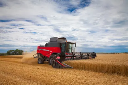 Ein roter Mähdrescher erntet Weizen auf einem Feld, symbolisiert moderne Agrartechnik in der Landwirtschaft.