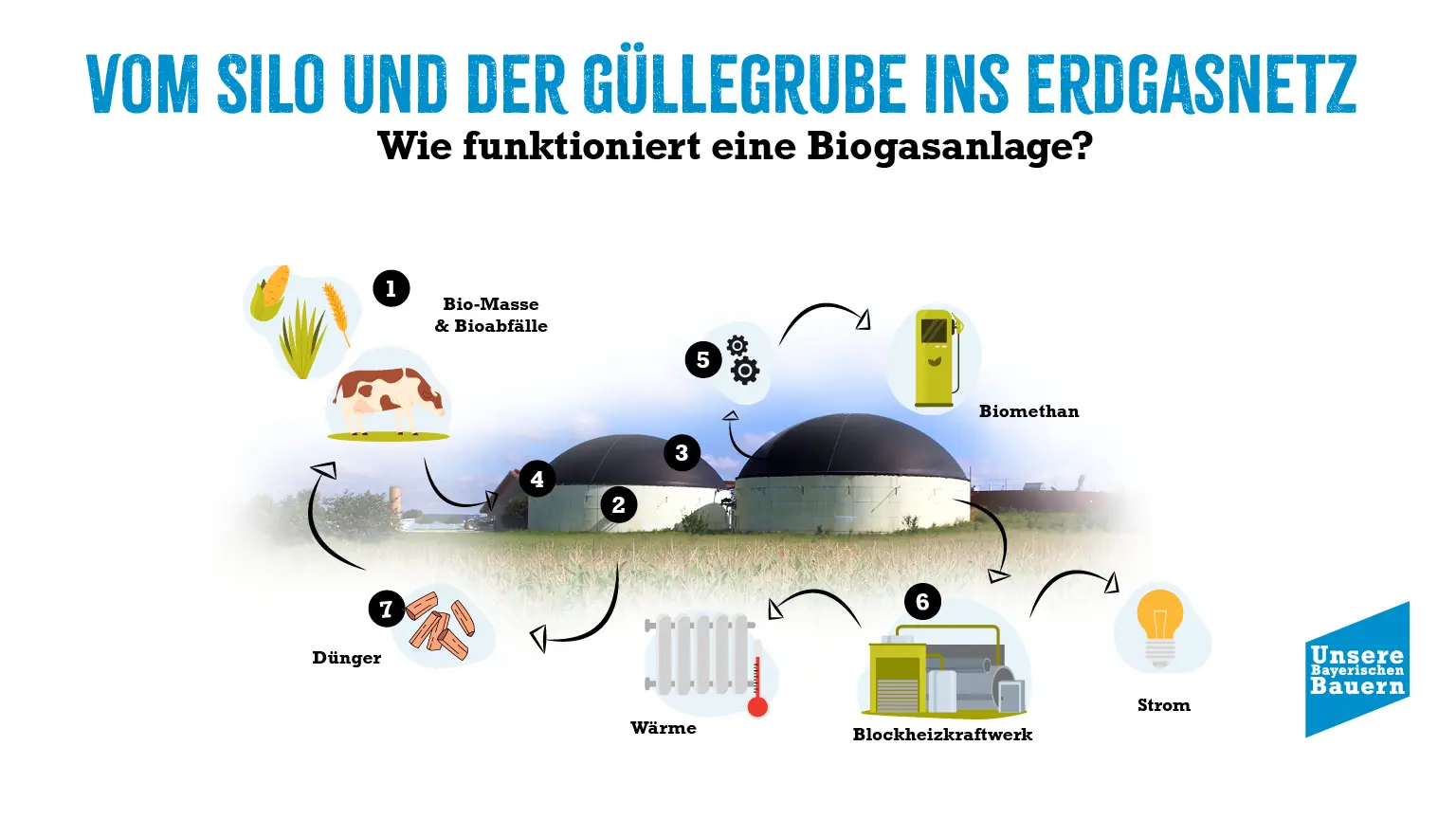 Diagramm, das den Prozess der Biogasproduktion von Biomasse bis zur Einspeisung ins Erdgasnetz veranschaulicht.