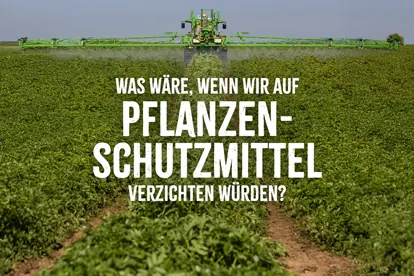UBB_Pflanzenschutzmaßnahmen_Content
