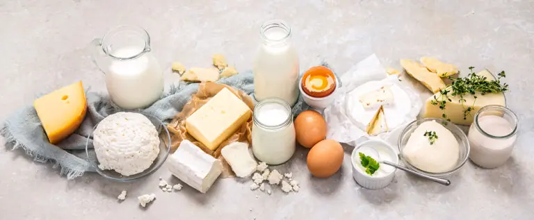 Vielfältige Milchprodukte wie Käse, Joghurt und Eier zeigen, dass Milch gesund und nahrhaft ist.