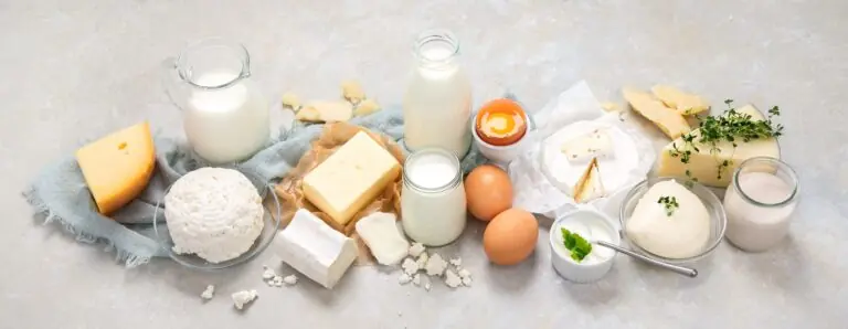 Milchprodukte auf hellem Untergrund: Milchkrug, Milchflasche, Butter, Käse, Quark, Eier und Joghurt