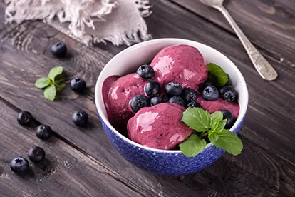 blaubeer_protein_eis_content