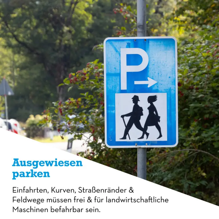Flurknigge6_content